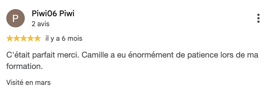 Avis Google cinq étoiles de Piwi